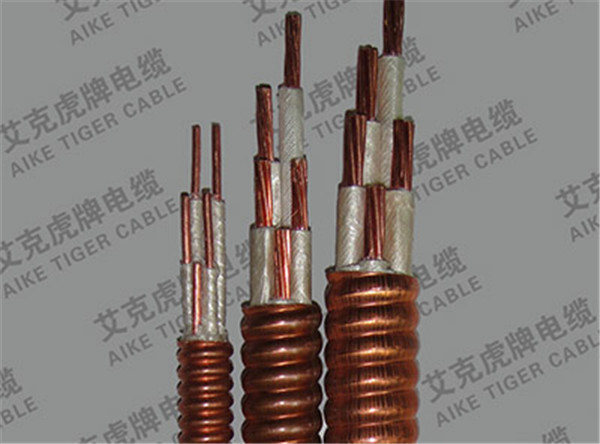 YTTW���Է�����|