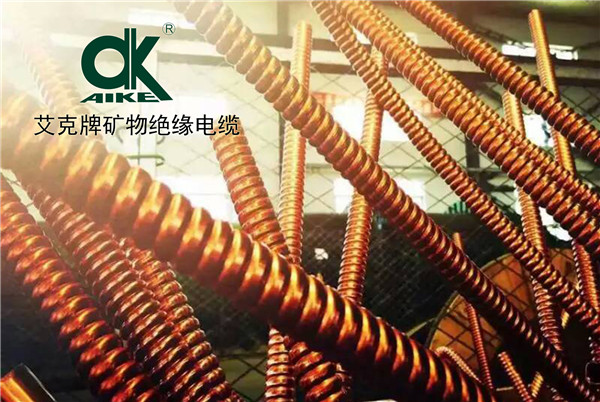 BTTRZ �V��^����|