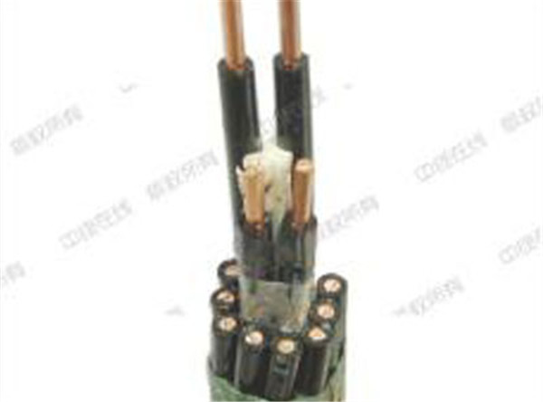 ���˿�����|