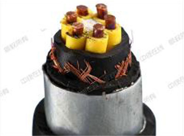 ɽ��������|