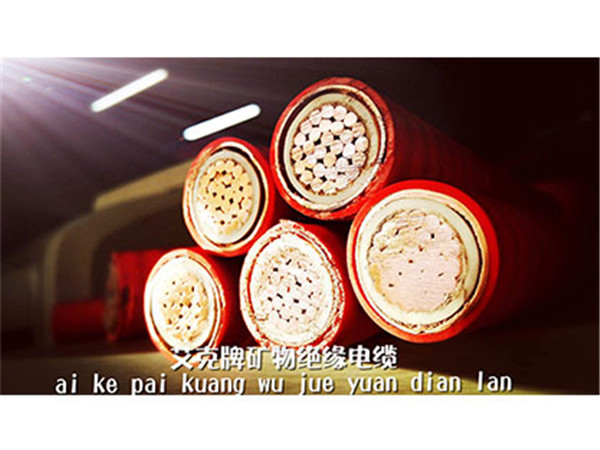 ���˵V��^����|