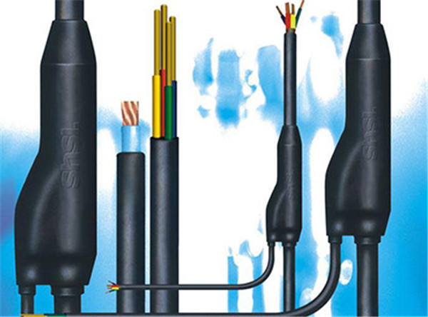 ɽ���A��֧��|